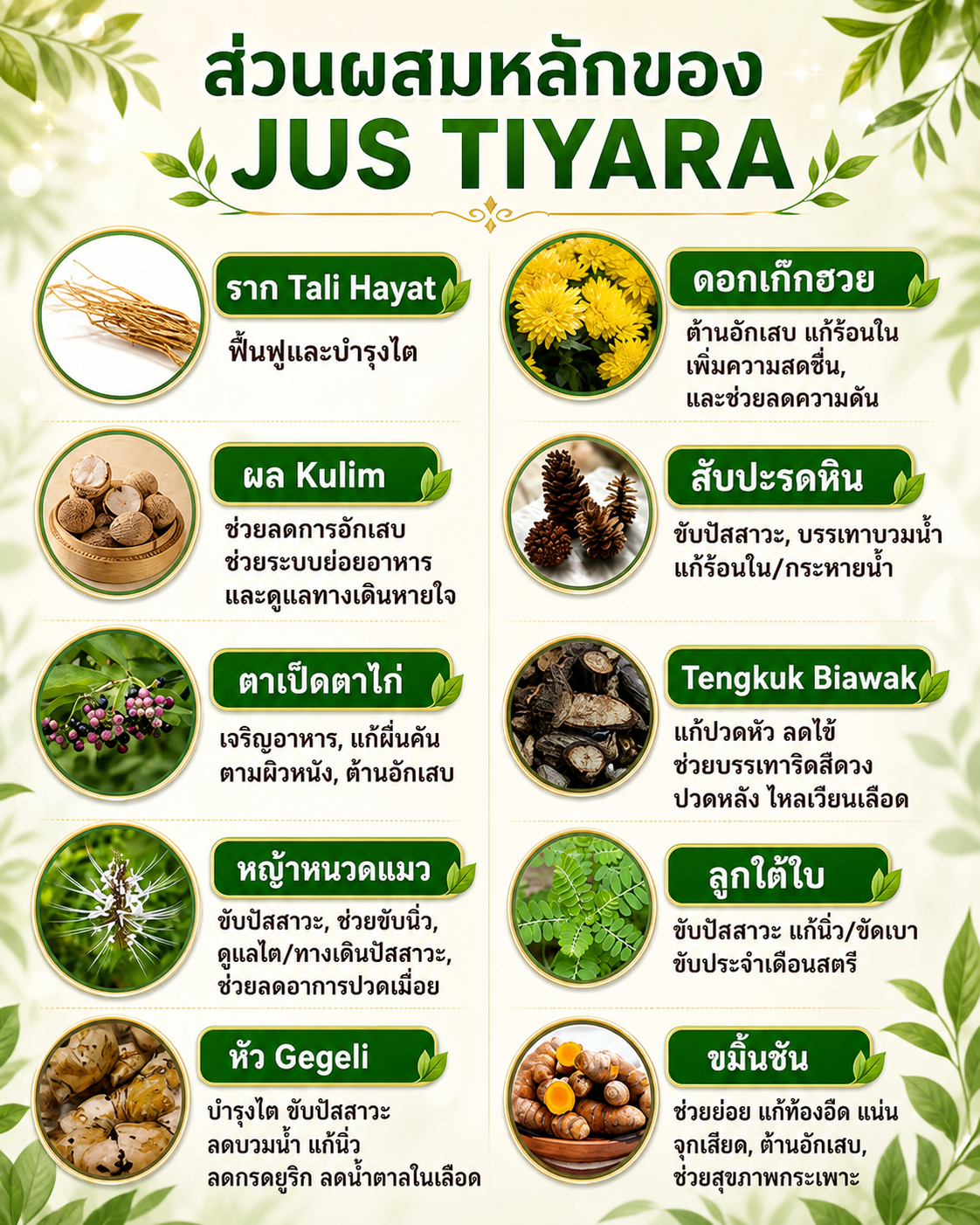Jus Tiyara ส่วนผสมหลักจากสมุนไพร 10 ชนิด